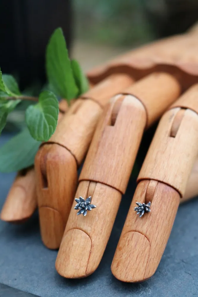 Botanical Studs